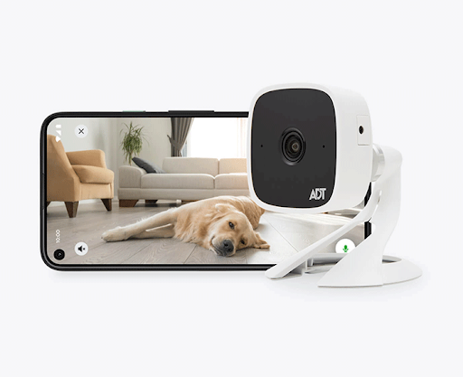 Do I Need Indoor Security Cameras?